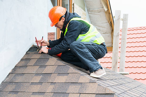 Roof Gutter Cleaning in Oak Park, CA